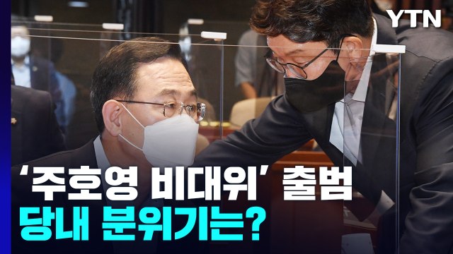 [더뉴스] 이준석, 전면전 선포 속 與 비대위 출범...가처분 결과 주목 / YTN