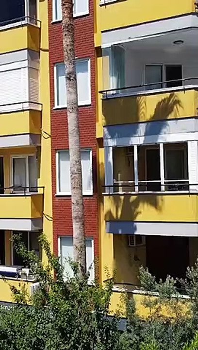 alanya wohnung kaufen