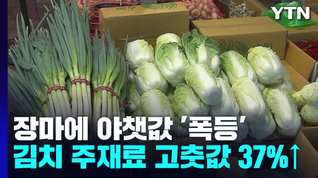 폭우에 작물 다 녹아 ...명절 앞두고 밥상 물가 '비상' / YTN