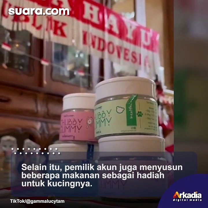 Aksi Kucing Ikut Lomba Agustusan dan Dapat Hadi...