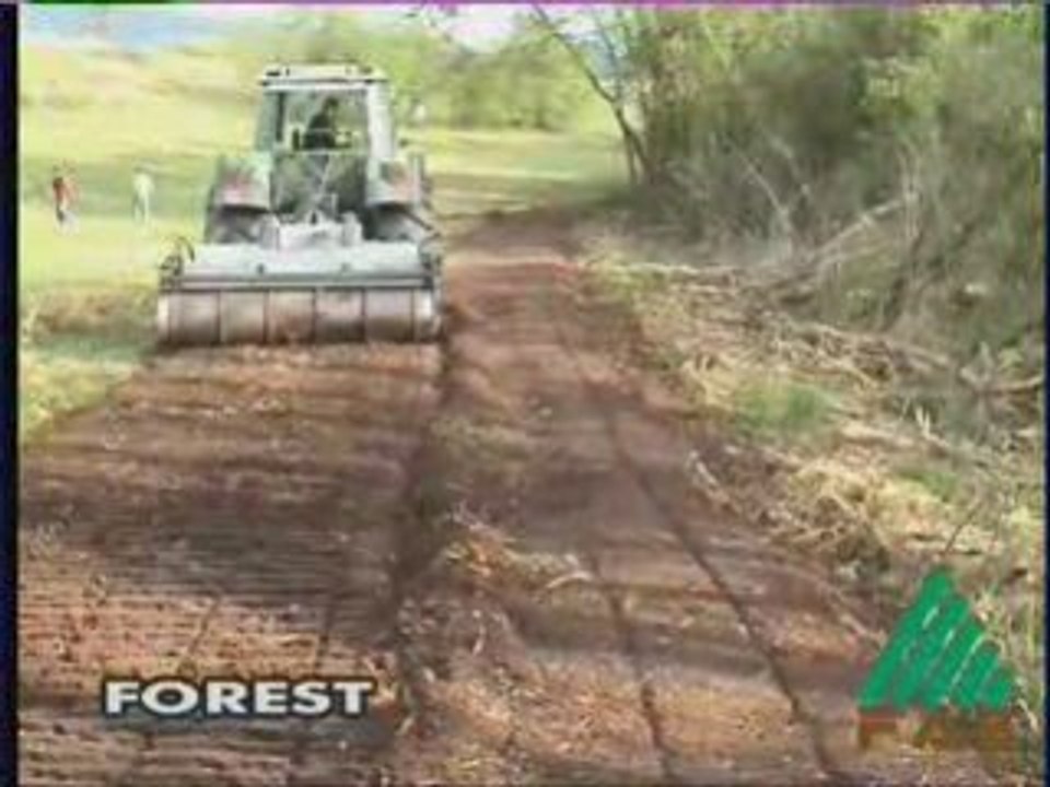 TIMBERCOOP SSH-225 BROYEUR de SOUCHES