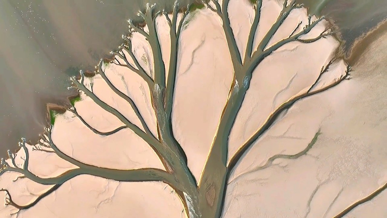 Tree-like pattern appears on dried-up lake bed...