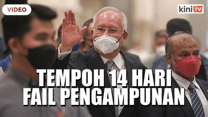 Najib ada tempoh 14 hari fail pengampunan atau hilang status MP