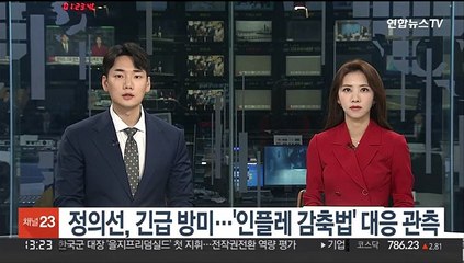 정의선, 긴급 방미…'인플레 감축법' 대응 관측