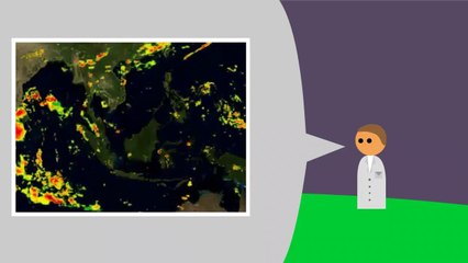How To Forest Make Rainfall _|  How Forest Help In Rainfall | Plant and Diseases Agriculture
