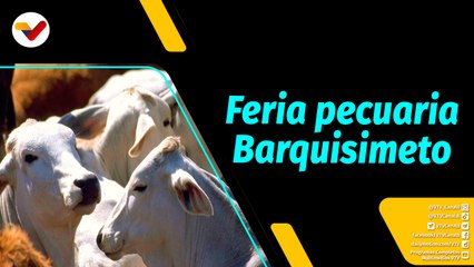 Al Aire | Primera Feria Pecuaria Barquisimeto 2022 del 18 al 21 de agosto