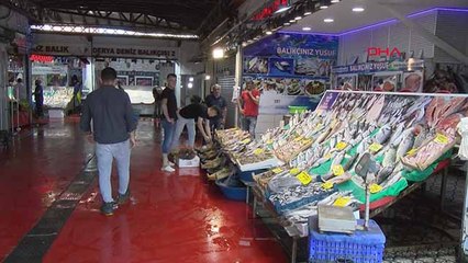 İstanbul'da sezonun ilk palamutları tezgaha çıktı