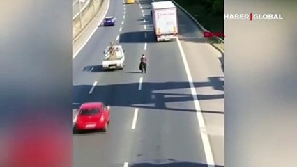 TEM Otoyolu'nda yaptıklarına inanamayacaksınız! İşte o yayanın dehşete düşüren görüntüleri