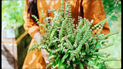 #51 Endless Days of Summer Slow Life in the Countryside