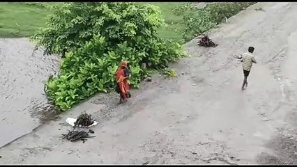 तेज बारिश का दौर: लकडिय़ों के लिए जान जोखिम में