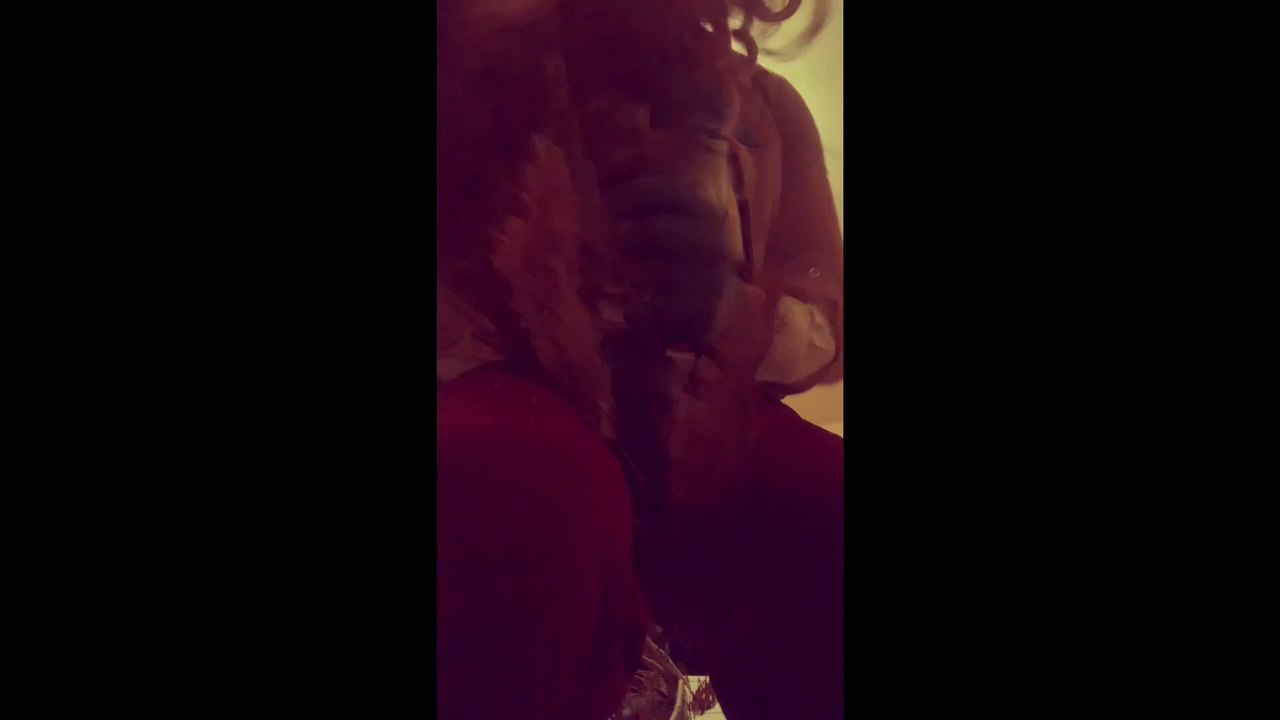 Beethovens Christmas Adventure Re-Enacted Part 1: Runaway Sleigh