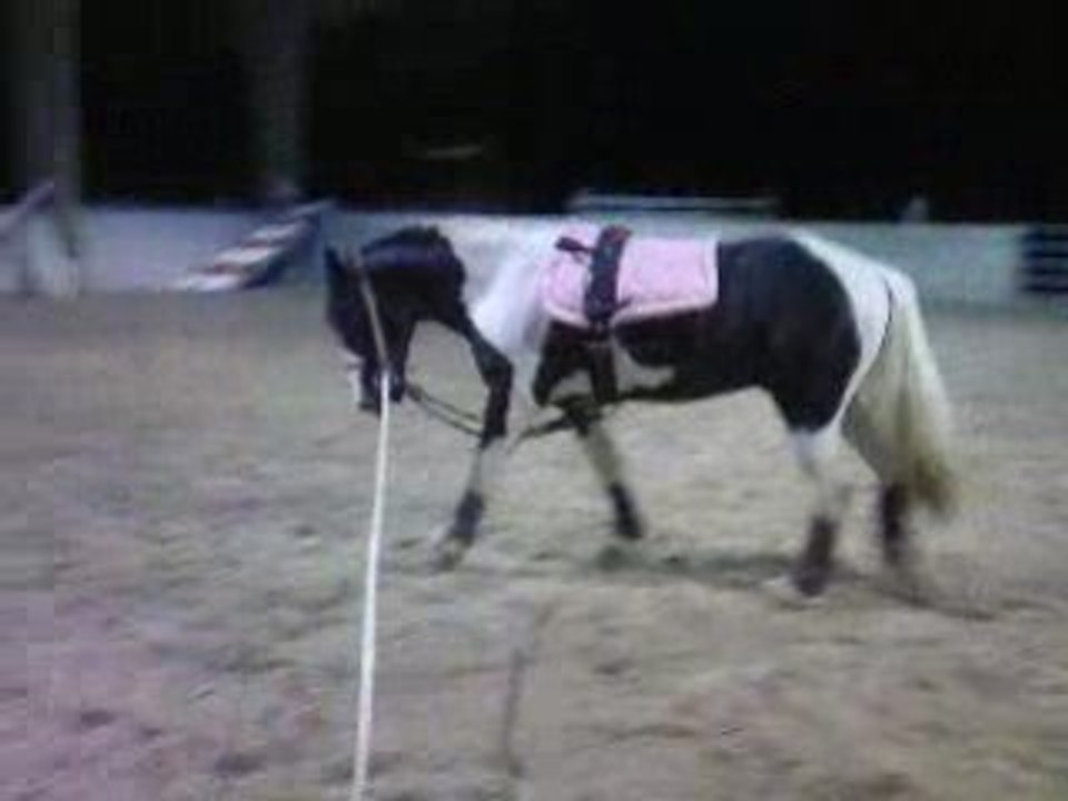 Vidéo-0019