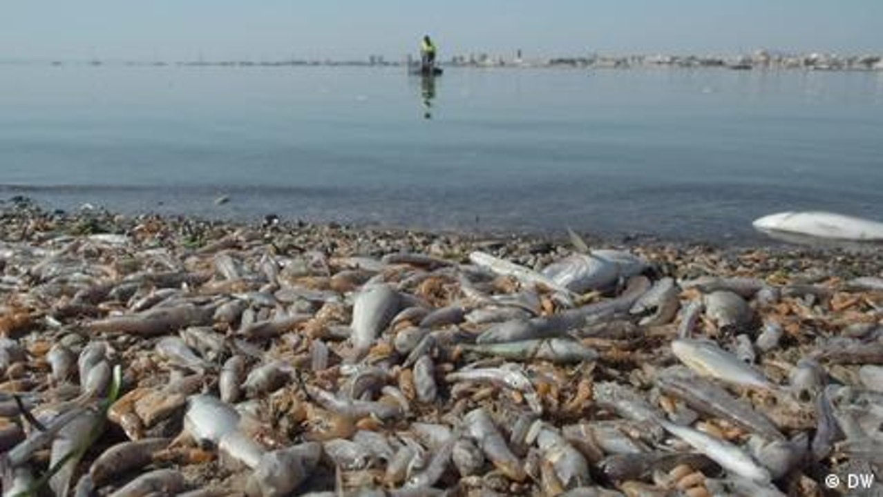 Mar Menor – zu Tode gedüngt?