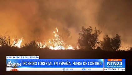 10.000 hectáreas de bosque han sido arrasadas por incendios en España