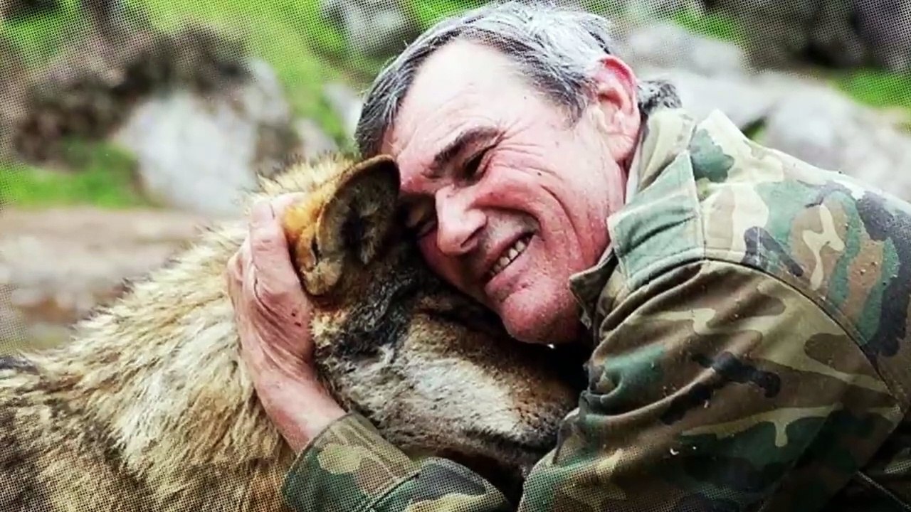 How Does a Lion Treat a Baby