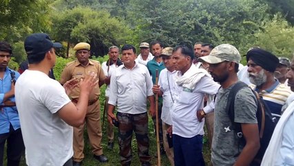 तीन दिन से वन विभाग को छका रहा बाघ टी-136