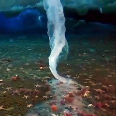 The underwater icicle freezes anything in its path