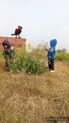 VFX Rajinder video 1 | hathi Raja song | new songs | latest videos