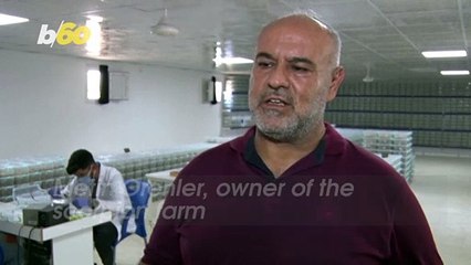 Not for the Faint of Heart! This Lab is Milking Scorpions!