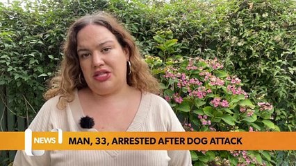 Second arrested after dog attack puts toddler in hospital - LiverpoolWorld news bulletin