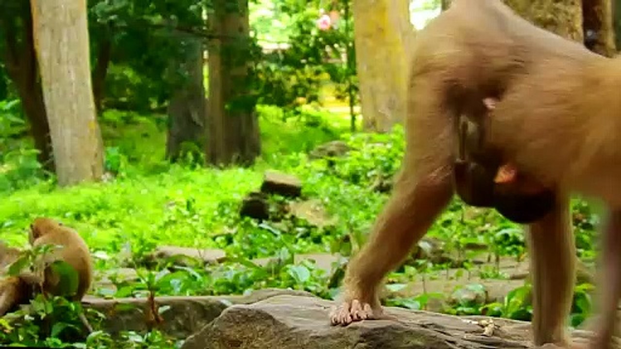 11=Libby makes  Rainbow unhappy because she cannot drink milk