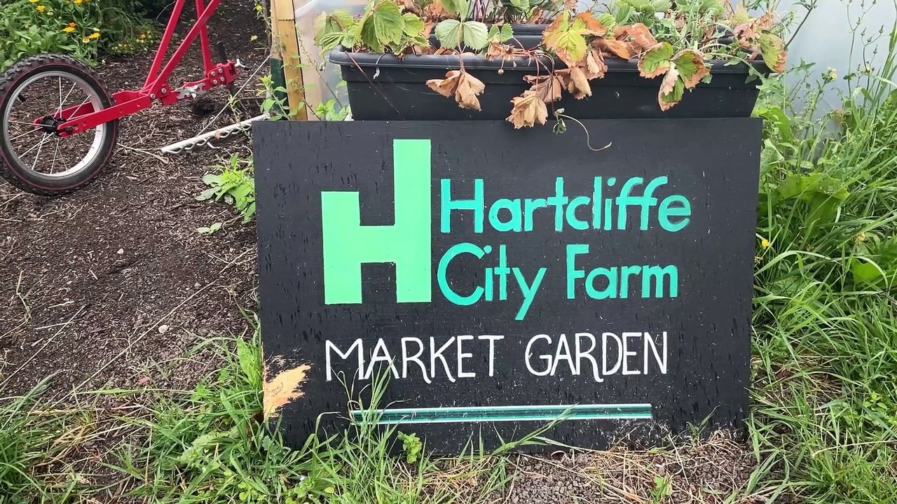 Hartcliffe City Farm back open after  major work on  30-acre site
