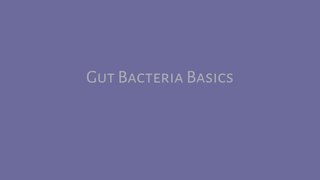 Gut Bacteria Basics