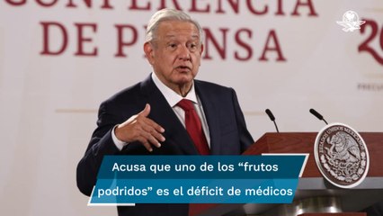 La transformación va abriéndose paso a pesar de “la bola de malhechores”: AMLO