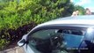 La police brise une vitre de voiture pour sauver un chien enfermé au soleil