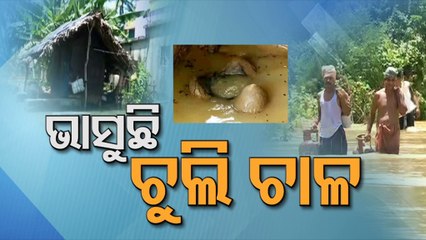 No end to sufferings as flood water inundates several districts | Special Story