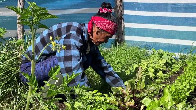 سكان جزيرة الفصح الأصليون يخشون عودة السياحة كما كانت قبل الجائحة