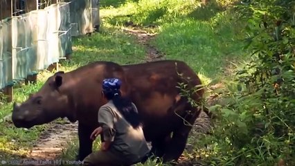 Why No Aquarium In The World Has A Great White Shark