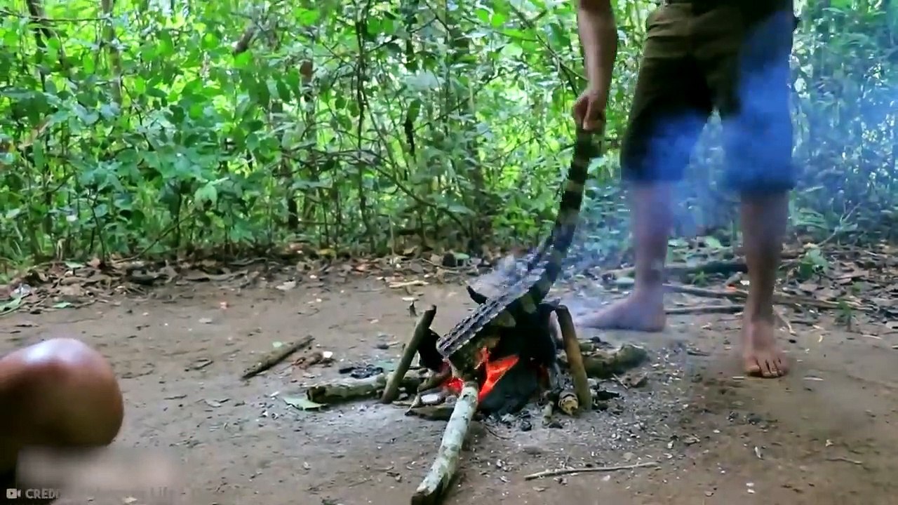 20 Weirdest Things Ever Found Inside Animals