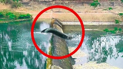 Scientist Discovers What No One Was Supposed to See