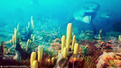 This Shark Will Give You Nightmares