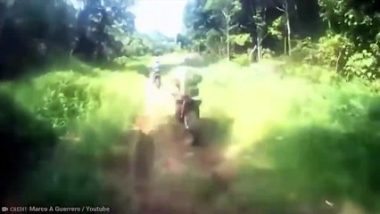 GoPro Captures What No One Was Supposed to See