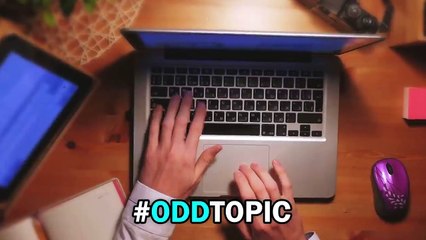 20 Times Snakes Messed With The Wrong Cat