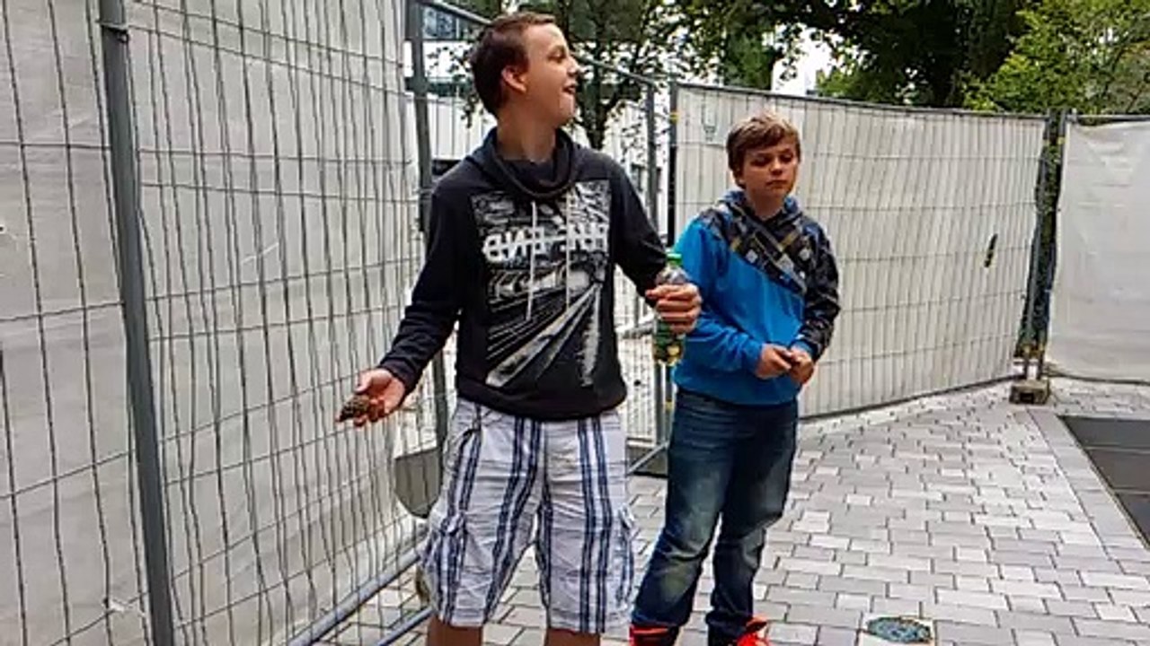 Dachwurf in Zeitlupe