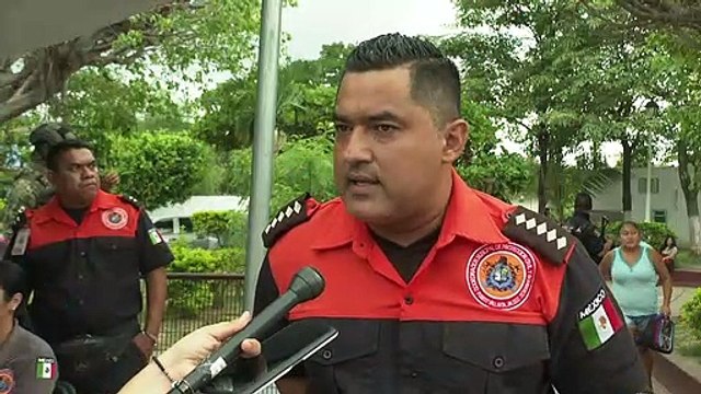 Árboles caídos y charcos son los reportes más frecuentes por lluvias | CPS Noticias Puerto Vallarta