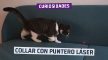 [CH] KiTiDOT, el collar para gatos con puntero láser