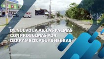 Aguas negras corren por el fraccionamiento Parque las Palmas | CPS Noticias Puerto Vallarta
