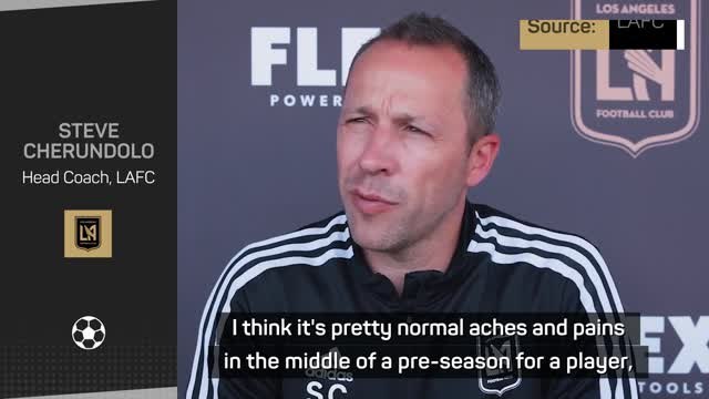 Missing stars Bale and Chiellini is 'precautionary' - Cherundolo