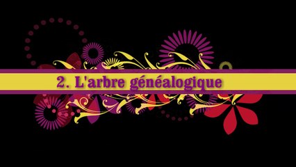 2. L'arbre généalogique (Archives Familiales)