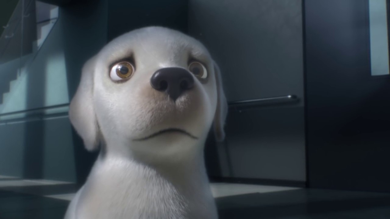 Pip | A Short Animated Film by Southeastern Guide Dogs - video Dailymotion