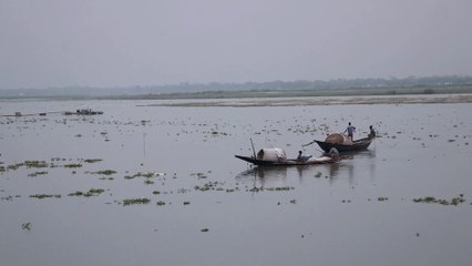 Beautiful Village Life & Landscapes Stock Footages | Natural Beauty of Bangladesh | Free HD Videos
