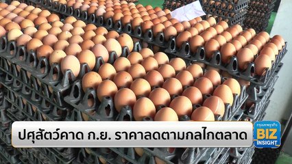 ปศุสัตว์คาด ก.ย. ราคาไข่ไก่ลดตามกลไกตลาด
