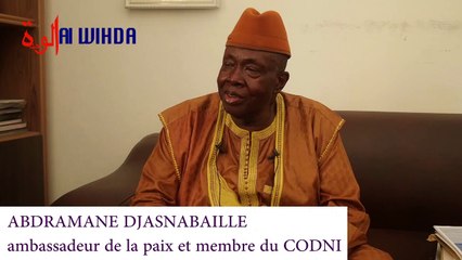 Tchad: "L'image du Tchad est ternie. Comment peut ton nommer des gens qui sont là pour se servir et non pas travailler pour l'intérêt national"