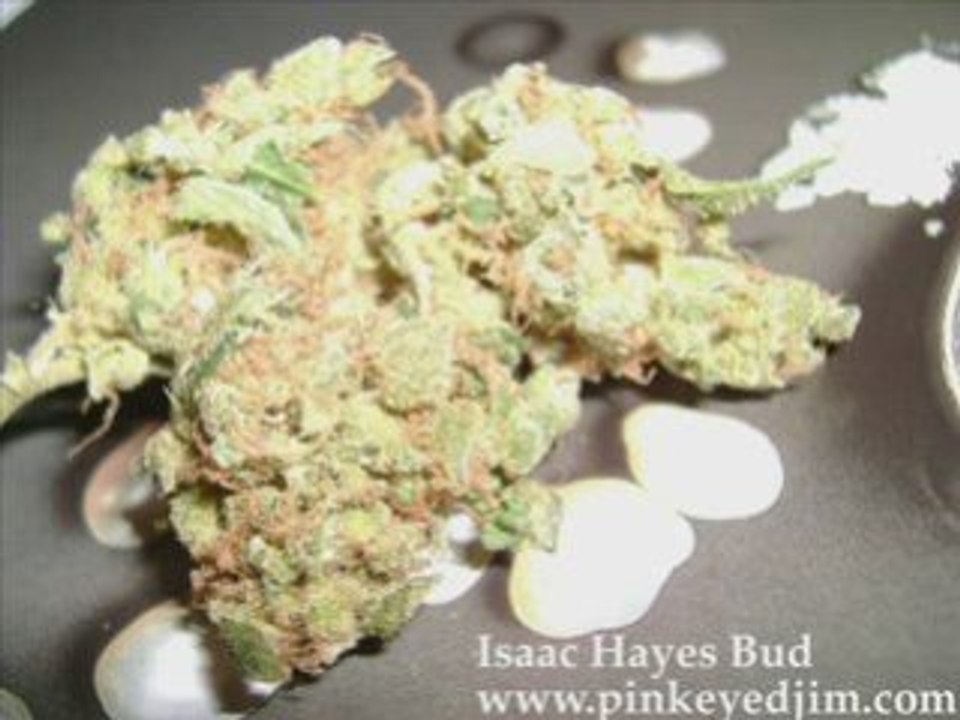 movez lang "c'est ça gars" special weed!