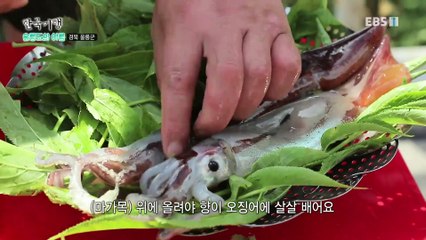 한국기행 - Korea travel_울릉도의 여름 3부- 사나이의 꿈, 깍개등_#001