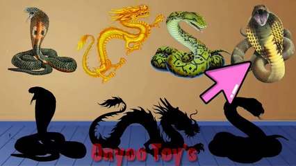 Cute Animals Snake, Green Snake, Cobra , Red Snake, Golden Python 可愛的動物蛇，綠蛇，眼鏡蛇，紅蛇，金蟒